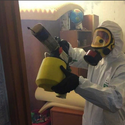 Уничтожение клопов в квартире. Лермонтов